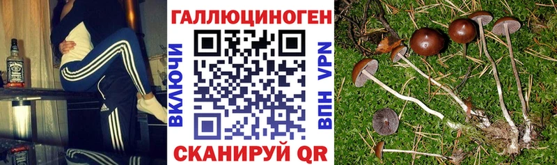 Галлюциногенные грибы прущие грибы  гидра ссылка  Отрадная 